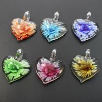 Inner Flower Lampwork Pendants, Heart, mixed colors, 36x45x15mm, Hole:Approx 8mm, 12PCs/Box, Sold By Box