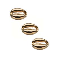 Brass Bracelet Findings, Shell, real gold plated, for woman, nickel, lead & cadmium free, 11*14mm, Hole:Approx 1mm, 10PCs/Lot, Sold By Lot