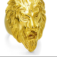 Titanium Steel Finger Ring Lion plated & for man Sold By PC