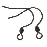 Stainless Steel Hook Earwire black Approx 2mm Approx Sold By Lot