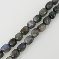 Natural Labradorite Beads, nickel, lead & cadmium free, 10x14mm, Hole:Approx 1.5mm, Approx 32PCs/Strand, Sold Per Approx 16 Inch Strand
