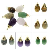 Gemstone Pendants Jewelry, gold color plated, different materials for choice, 15x30x15mm, Hole:Approx 2mm, 5/PC, Sold By PC