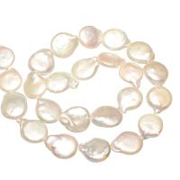 Keshi Cultured Freshwater Pearl Beads, Flat Round, natural, white, 13-14mm, Hole:Approx 0.8mm, Approx 24PCs/Strand, Sold By Strand