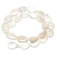 Reborn Cultured Freshwater Pearl Beads, Pérolas de água doce, Oval achatado, naturais, branco, 13x19x6mm, Buraco:Aprox 0.8mm, Aprox 23PCs/Strand, vendido por Strand
