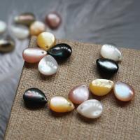 Shell Pendants, Teardrop, more colors for choice, 8x11mm, Hole:Approx 1mm, Approx 20PCs/Bag, Sold By Bag