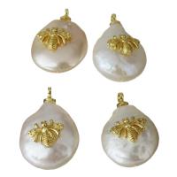 Stainless Steel Pendants, Brass, with pearl, gold color plated, nickel, lead & cadmium free, 12-13x18-19x7.5-8.5mm, Hole:Approx 1.5mm, 5PCs/Lot, Sold By Lot
