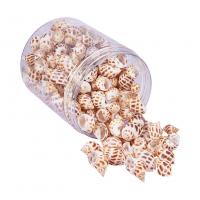 Shell Findings, multifunctional & DIY, 32~45X20~26X17~23mm, Hole:Approx 1~2mm, Approx 150PCs/Box, Sold By Box