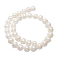 Cultured Potato Freshwater Pearl Beads, natural, white, 11-12mm, Hole:Approx 0.8mm, Sold By Strand