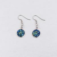 Stainless Steel Drop Earring with Resin for woman nickel lead & cadmium free 38*14mm Sold By Lot