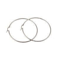 Stainless Steel Hoop Earring, 316 Stainless Steel, hypo allergic & Unisex & different size for choice, more colors for choice, Sold By Pair