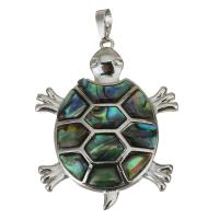 Brass Jewelry Pendants, with Abalone Shell, Turtle, silver color plated, nickel, lead & cadmium free, 37x46x6mm, Hole:Approx 5x7mm, Sold By PC