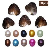 Freshwater Cultured Love Wish Pearl Oyster mixed colors Rice 7.5-8mm Sold By Lot. One pearl oyster with one pearl.