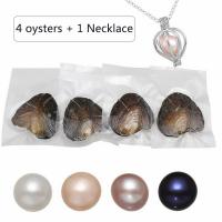 Oyster & Wish Pearl Kit, Perlas cultivadas de agua dulce, Patata, color mixto, 7-8mm, 4PCs/Bolsa, Vendido por Bolsa