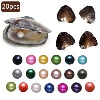 Freshwater Cultured Love Wish Pearl Oyster, Freshwater Pearl, mixed, Random Color, 7-8mm, 20PCs/Lot, Sold By Lot