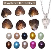 Freshwater Pearl Wish Pearl Oyster with Brass Rice 10 Wish Pearl Oyster 1 necklace & oval chain Random Color 7-8mm Length Approx 18 Inch Sold By Lot