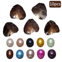 Freshwater Cultured Love Wish Pearl Oyster Freshwater Pearl Rice mixed colors 7-8mm Sold By Lot