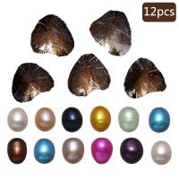 Amor de cultivo de agua dulce Wish Pearl Oyster, Perlas cultivadas de agua dulce, Arroz, color mixto, 7-8mm, 12PCs/Grupo, Vendido por Grupo