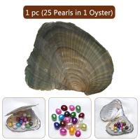 Amor de cultura de água doce Wish Pearl Oyster, Pérolas de água doce, Arroz, cores misturadas, 7-8mm, vendido por PC