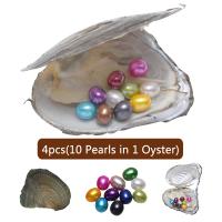 Amor de cultura de água doce Wish Pearl Oyster, Pérolas de água doce, Arroz, cores misturadas, 7-8mm, 4PCs/Lot, vendido por Lot