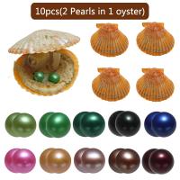 Akoya cultiva mar perla perlas de ostras, Perlas Cultivadas de Akoya, Patata, Twins Wish Pearl Oyster, color mixto, 7-8mm, 10PCs/Bolsa, Vendido por Bolsa