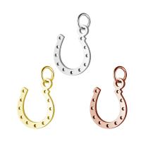 Stainless Steel Pendants, Horseshoes, for woman, more colors for choice, 10x17mm, Hole:Approx 5mm, 10PCs/Lot, Sold By Lot