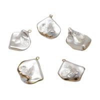 Shell Pendants with Brass plated - Approx 2mm Sold By Bag
