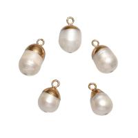 Eau douce-Perle-Brass-Pendentif, perle d'eau douce cultivée, avec laiton, Placage de couleur d'or, blanc, 13x8mm-17x9mm, Trou:Environ 1.8mm, 10PC/sac, Vendu par sac