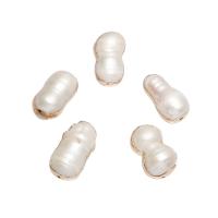 Cultured Rice Freshwater Pearl Beads, with Brass, gold color plated, white, 18x10mm-20x11mm, Hole:Approx 0.8mm, 10PCs/Bag, Sold By Bag