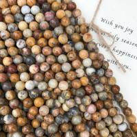 Prirodni Crazy ahat perle, Crazy Agate, Krug, uglađen, različite veličine za izbor, Rupa:Približno 1mm, Prodano By Strand