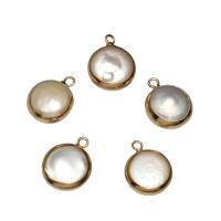 Freshwater Pearl Brass Pendant, with Brass, Flat Round, gold color plated, 14x18x6mm-13x16x4mm, Hole:Approx 1.8mm, 5PCs/Bag, Sold By Bag