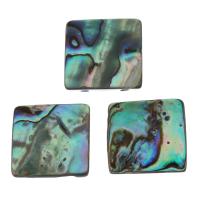 Abalone Shell Beads, Square, different size for choice & double-hole, Hole:Approx 2mm, 10PCs/Lot, Sold By Lot