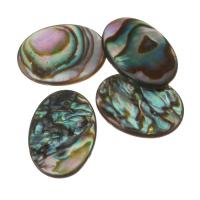 Abalone Shell korálky, módní šperky & DIY, 13x18x2mm, Otvor:Cca 0.5mm, 10PC/Lot, Prodáno By Lot
