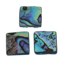Abalone Shell Beads, Square, DIY & double-hole, 10x10x4mm, Hole:Approx 2mm, 10PCs/Lot, Sold By Lot