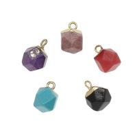 Colgantes de Gemas, Piedras preciosas, con metal, chapado en color dorado, diferentes materiales para la opción, 12x10mm, agujero:aproximado 1.7mm, 5PCs/Bolsa, Vendido por Bolsa