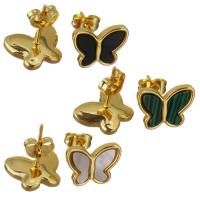 Stainless Steel Stud Earrings with Shell & Resin Butterfly gold color plated & for woman Sold By Pair