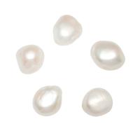 Cultured No Hole Freshwater Pearl Beads, natural, double-sided, white, 10-11mm, Sold By PC