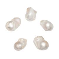 Nėra Hole Kultūringas gėlavandenių perlų karoliukai, Gėlo vandens perlų, natūralus, ne skylė, baltas, 13-15mm, Pardavė PC
