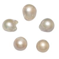 Cultured No Hole Freshwater Pearl Beads natural white 11-13mm Sold By PC