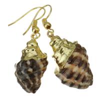 Brass Drop Earring, with Shell, Shell, gold color plated, fashion jewelry & for woman, nickel, lead & cadmium free, 43-47mm,14-16x25-28mm, 5Pairs/Lot, Sold By Lot