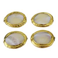 Brass Jewelry Beads, with White Shell, gold color plated, nickel, lead & cadmium free, 24-26x19-21x5-6mm, Hole:Approx 1mm, 10PCs/Lot, Sold By Lot