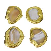Χάντρες κοσμήματα Brass, Ορείχαλκος, με Λευκό Shell, χρώμα επίχρυσο, νικέλιο, μόλυβδο και κάδμιο ελεύθεροι, 17-19x21-23x3-5mm, Τρύπα:Περίπου 1mm, 10PCs/Παρτίδα, Sold Με Παρτίδα