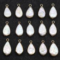 Freshwater Pearl Pendants, with Iron, Teardrop, gilding, white, 14-17mm, Hole:Approx 1mm, 2PCs/Lot, Sold By Lot