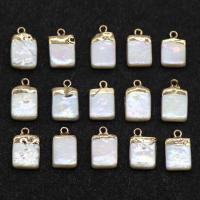 Freshwater Pearl Pendants, with Iron, Rectangle, gilding, white, 12-14mm, Hole:Approx 1mm, 2PCs/Lot, Sold By Lot