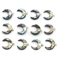 Natural Abalone Shell Pendants, with Iron, Moon, gilding, 20x21mm, Hole:Approx 1mm, 2PCs/Lot, Sold By Lot