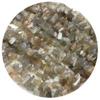 Grânulos de rocha lunar, Selenita, Pepitas, cinza, 5-8mm, Buraco:Aprox 1mm, vendido para Aprox 35.4 inchaltura Strand