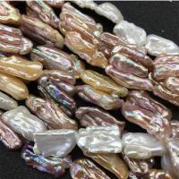 Perles nacres baroques de culture d'eau douce , perle d'eau douce cultivée, plus de couleurs à choisir, 18-22mm, Environ 14PC/brin, Vendu par brin