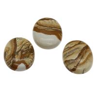 Picture Jasper Cabochon fashion jewelry & DIY Sold By Bag