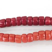 Perles en corail naturel, pilier, plus de couleurs à choisir, 7-10x10-16x10-16mm, Trou:Environ 1mm, Vendu par kg