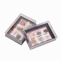 Gemstone Sintético Espécime de fósseis, naturais, 6 peças, cores misturadas, 5-10mm, vendido por box