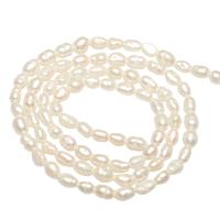 Perlas Arroz Freshwater, Perlas cultivadas de agua dulce, natural, más colores para la opción, 3-4mm, agujero:aproximado 0.8mm, Vendido para aproximado 14.1 Inch Sarta